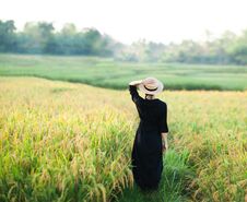 Woman In Black Dress And Straw Hat. Stock Image
