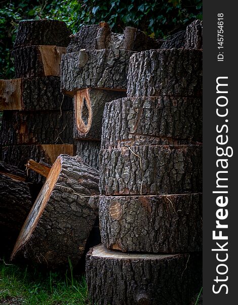 Piled up logs in the garden. Piled up logs in the garden