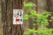 Bicycle Tree Sign Close Up Royalty Free Stock Photo Bicycle Tree Sign Close Up Royalty Free Stock Photo
