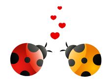 Two In Love Ladybirds Royalty Free Stock Image
