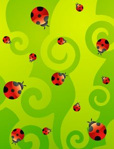 Red Ladybirds Royalty Free Stock Photos