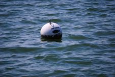 Free Fish Habitat Warning Buoy Royalty Free Stock Photo - 14581985