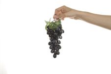 Grapes In Hand Stock Photos