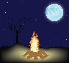Night Fire On A Glade Stock Photos