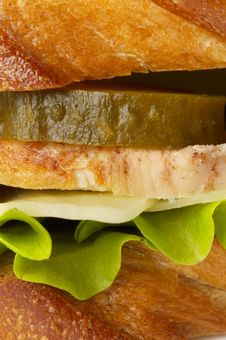 Chicken Sandwich Royalty Free Stock Image