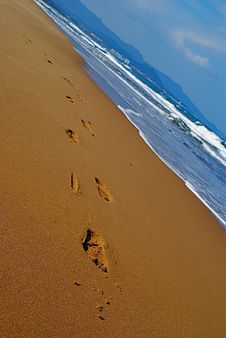 Footprints On A Beach Stock Photo Footprints On A Beach Stock Photo