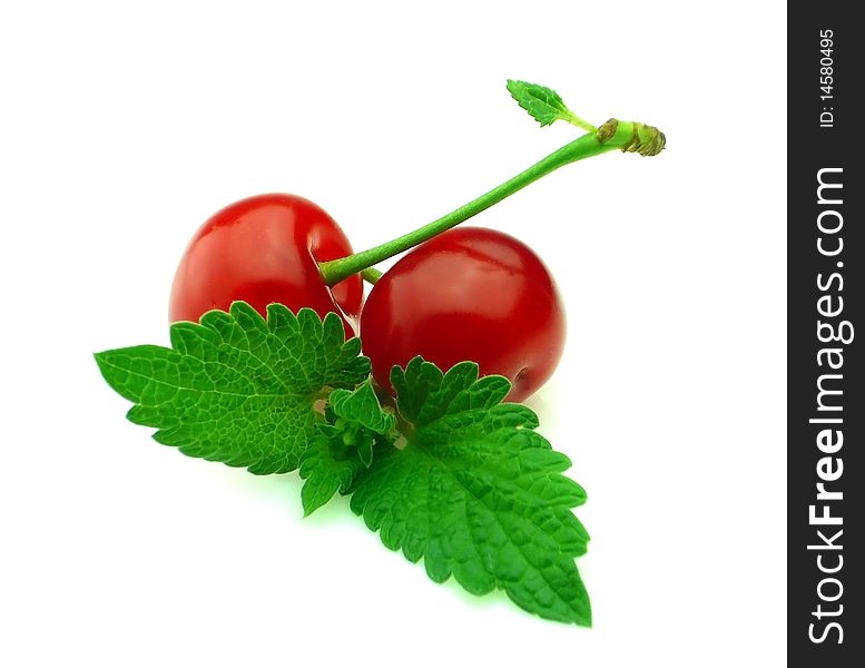 Two ripe cherries with fragrant mint on white background. Two ripe cherries with fragrant mint on white background