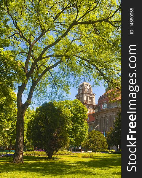 View at the town clock from the beautiful park. View at the town clock from the beautiful park.