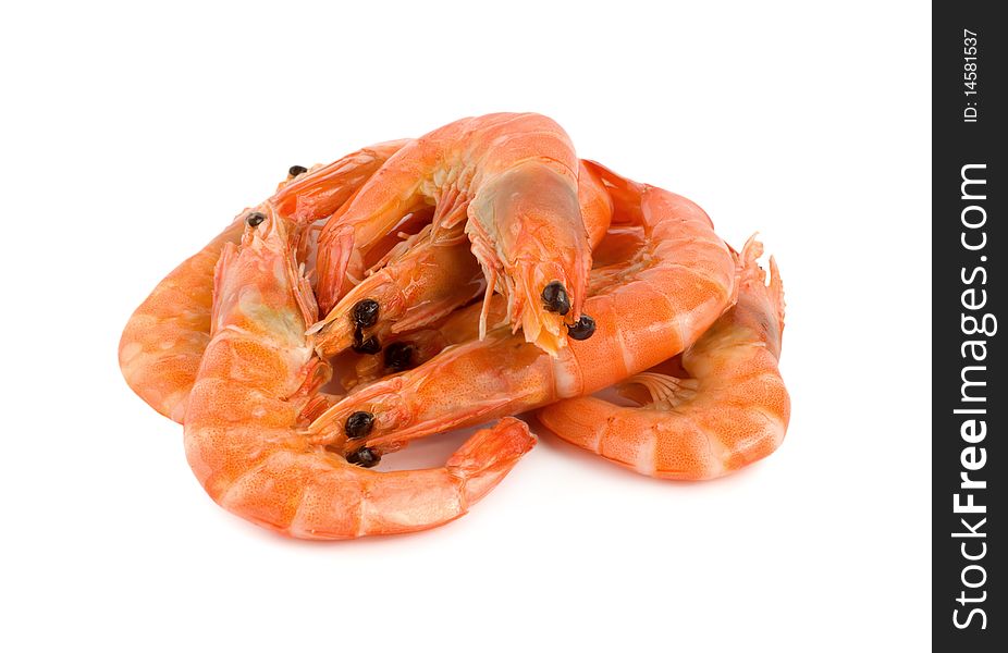 Shrimp isolated