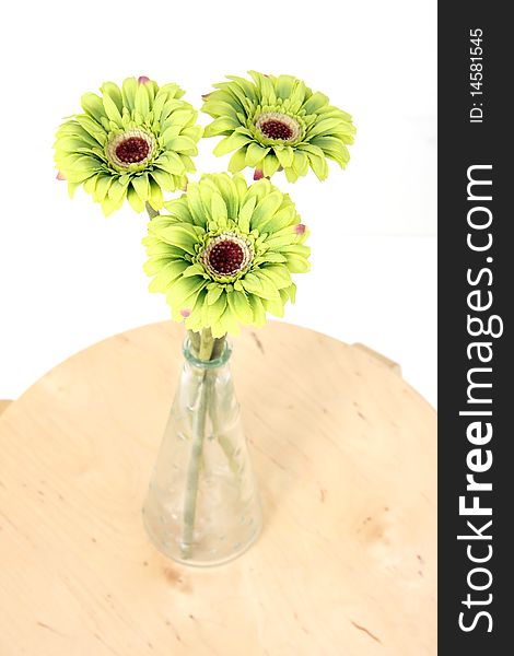 Green daisy flowers in a vase on top of a wooden chair in front of a white background. Green daisy flowers in a vase on top of a wooden chair in front of a white background.