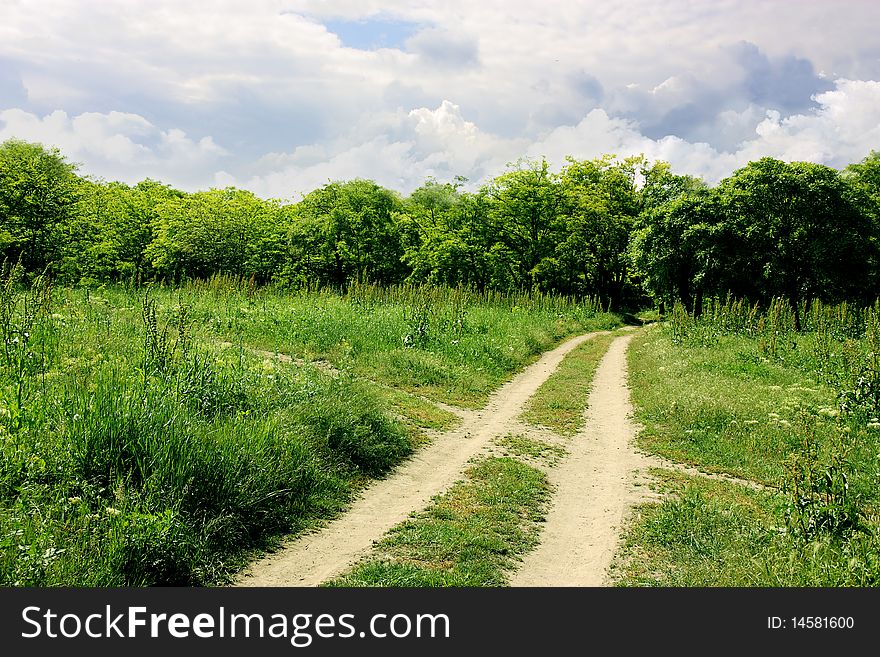 Photo park or small forest. small photomanipulation. Photo park or small forest. small photomanipulation.