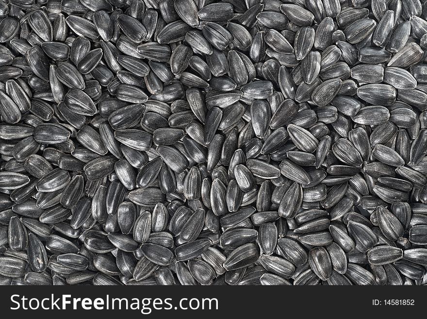 Background from black sunflower seeds. Background from black sunflower seeds