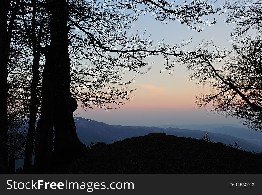 Sunset Scenic view of misty mountain range with silhouetted tree in foreground. Sunset Scenic view of misty mountain range with silhouetted tree in foreground.