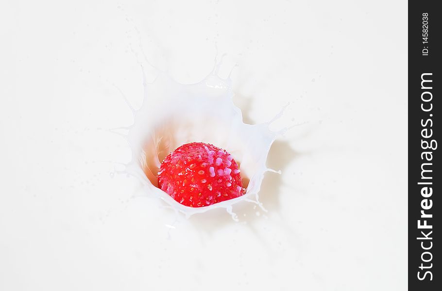 A fresh red strawberry splashing into milk. A fresh red strawberry splashing into milk