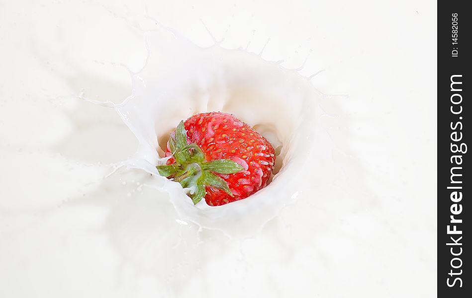 A fresh red strawberry splashing into milk. A fresh red strawberry splashing into milk