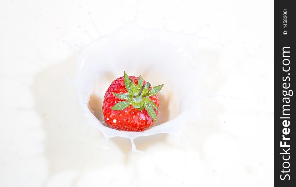 A fresh red strawberry splashing into milk. A fresh red strawberry splashing into milk