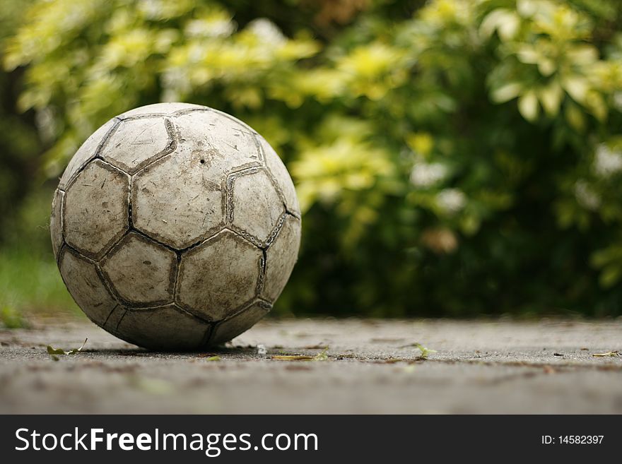 An isolated ball taken with a prime lens to blur out the leafy background. An isolated ball taken with a prime lens to blur out the leafy background.