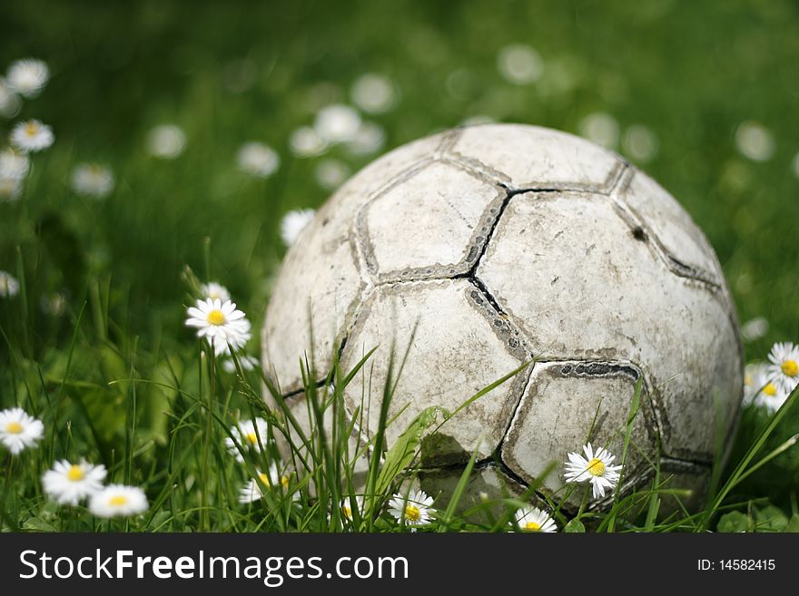 Old ball surrounded by long grass and daisy flowers. Old ball surrounded by long grass and daisy flowers