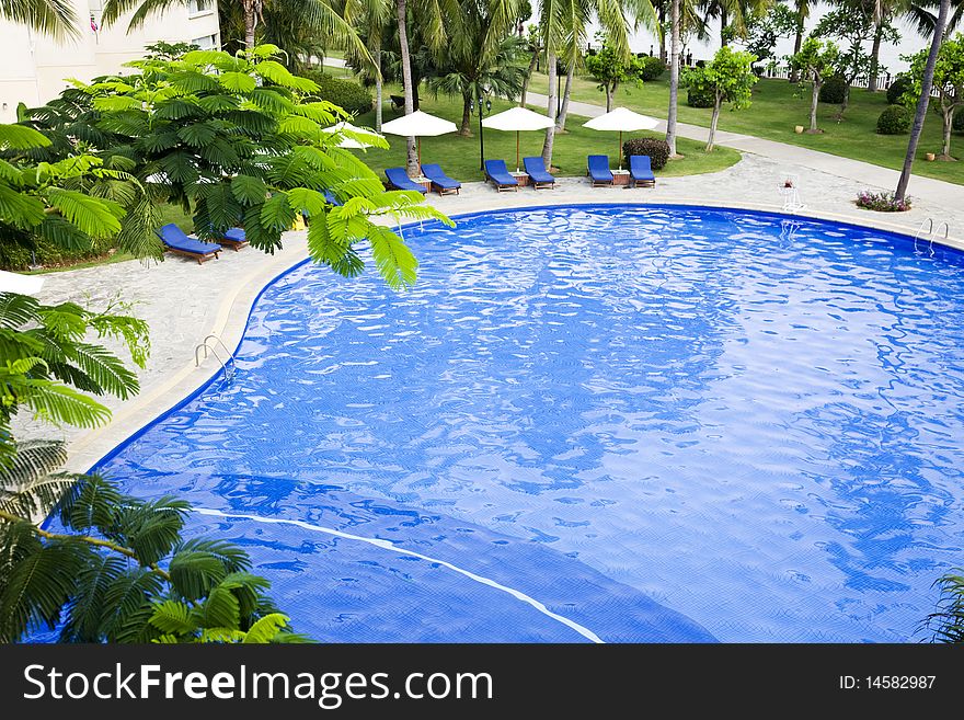 Swimming Pool In Resort