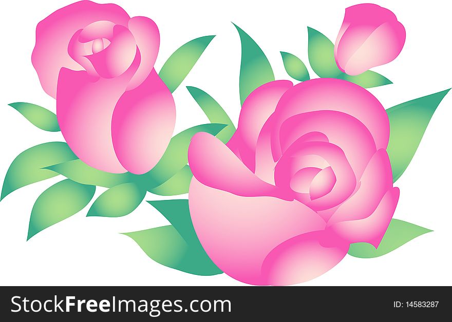 Isolated illustrated image of roses