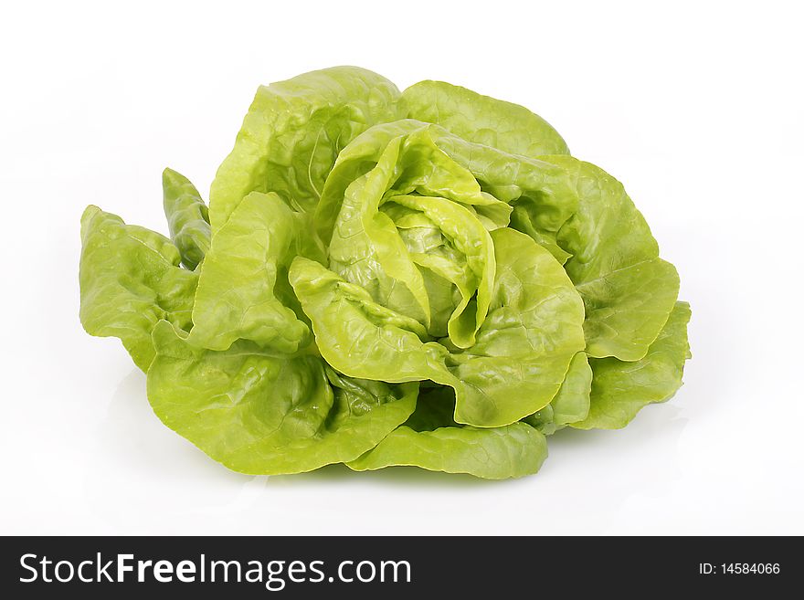 Big fresh green lettuce on white background. Big fresh green lettuce on white background