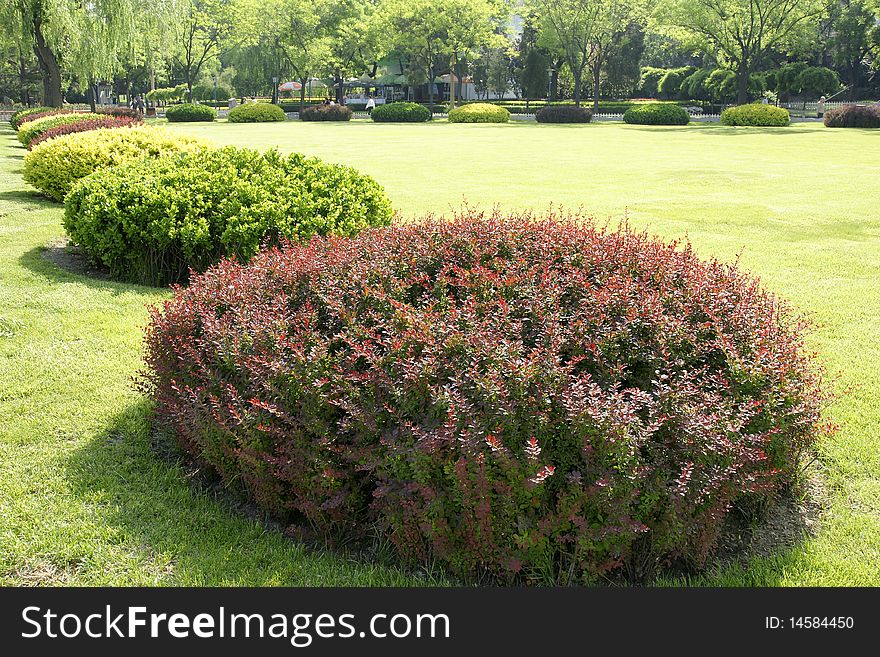 Aestival scenery in the park