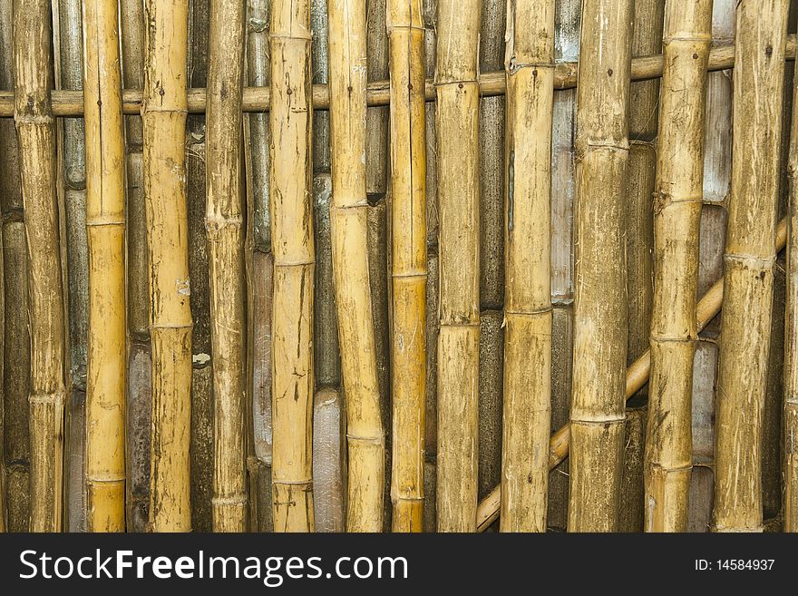 Bamboo texture, I take with EOS400D