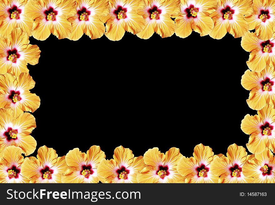 Photo frame created with some beautiful flowers. Photo frame created with some beautiful flowers