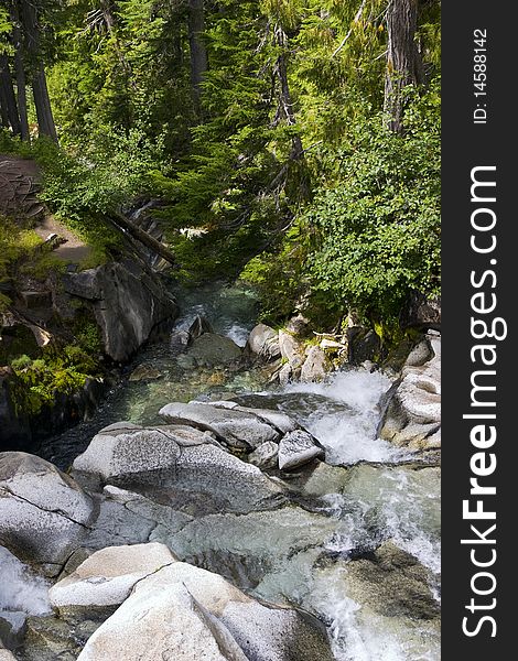 Waterfall in the forest, in the National Park of Grand Tetons