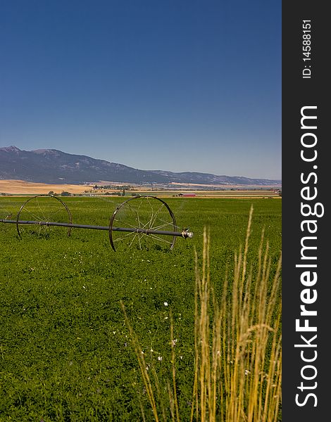 Green field with water system in the West of the United States of America. Green field with water system in the West of the United States of America