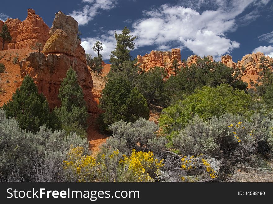 Trees Green Leaves and FlowersIn Front Of Red Sandstone Cliffs, Zion National Park, Utah, USA. Trees Green Leaves and FlowersIn Front Of Red Sandstone Cliffs, Zion National Park, Utah, USA