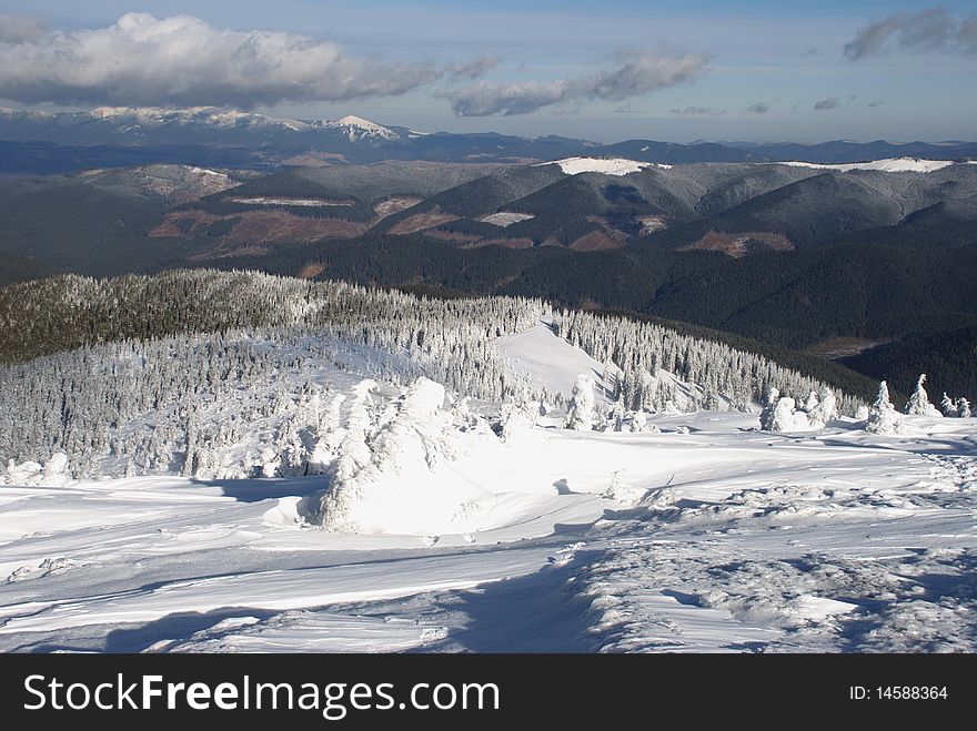 Fur-trees in ice on a mountain winter slope in a mountain landscape with white snow. Fur-trees in ice on a mountain winter slope in a mountain landscape with white snow