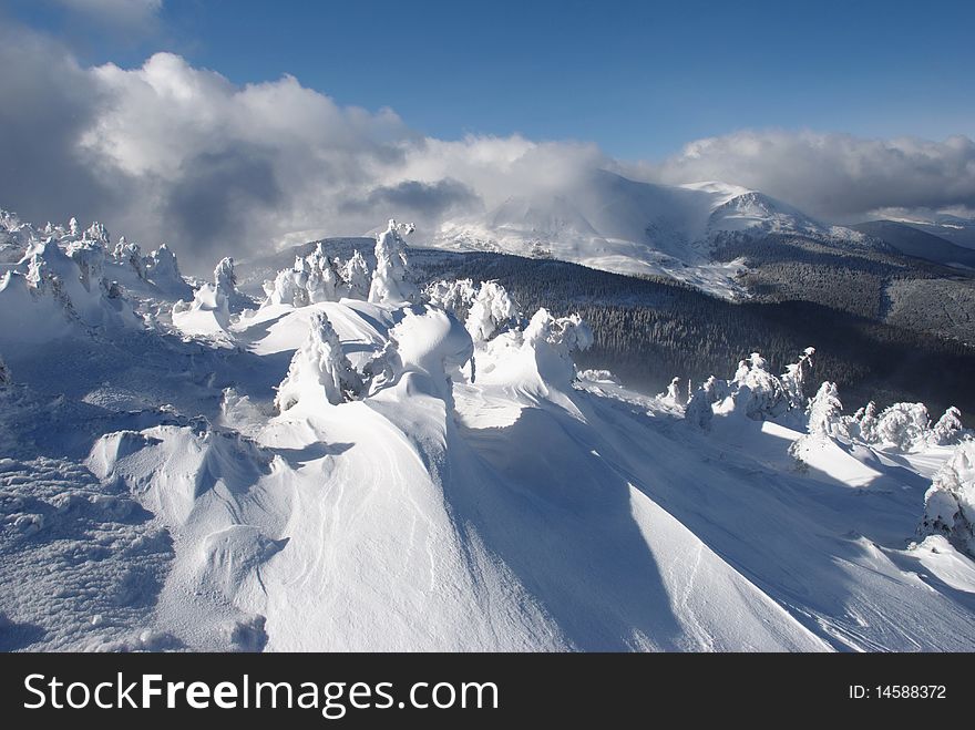 Fur-trees in ice on a mountain winter slope in a mountain landscape with white snow. Fur-trees in ice on a mountain winter slope in a mountain landscape with white snow