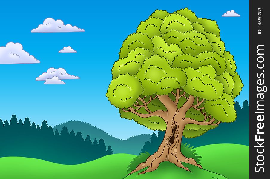 Big leafy tree in landscape - color illustration.