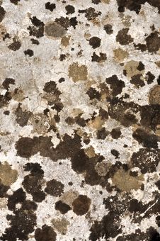 Lichen Texture On Stone Royalty Free Stock Photo Lichen Texture On Stone Royalty Free Stock Photo