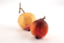 Pomegranate Stock Photos Pomegranate Stock Photos