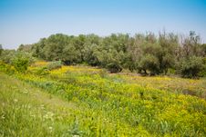 Danube Delta Landscape Royalty Free Stock Photography Danube Delta Landscape Royalty Free Stock Photography