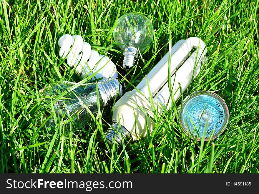 Image of the light bulb that has grown in a green garden. Image of the light bulb that has grown in a green garden