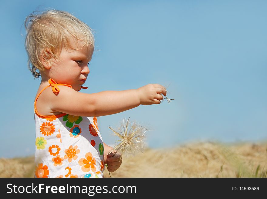 Cute toddler girl with big dandellion