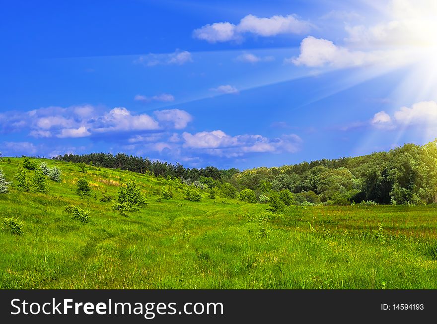Fresh green grass with bright blue sky and sunburst background. Fresh green grass with bright blue sky and sunburst background