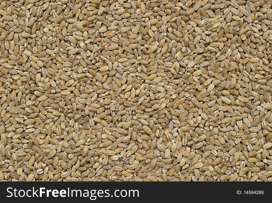 Close-up crops, rye background