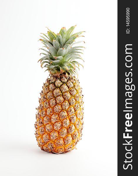 Pineapple fruit