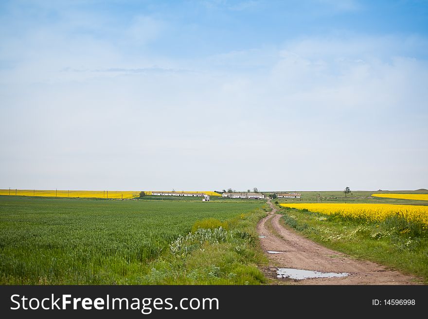 Farm surrounded by fields of grain and rapeseed in Romania. Farm surrounded by fields of grain and rapeseed in Romania