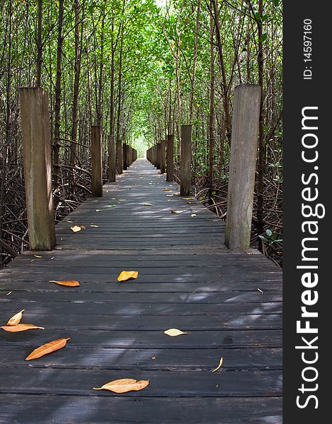 Wood bridge in Thailand mangrove national park image. Wood bridge in Thailand mangrove national park image