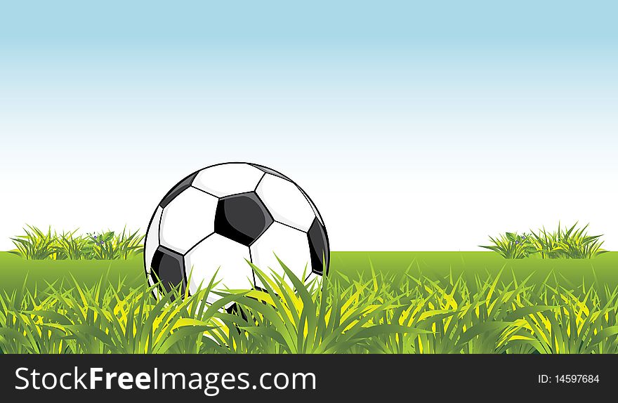 Soccer ball in the grass. Illustration