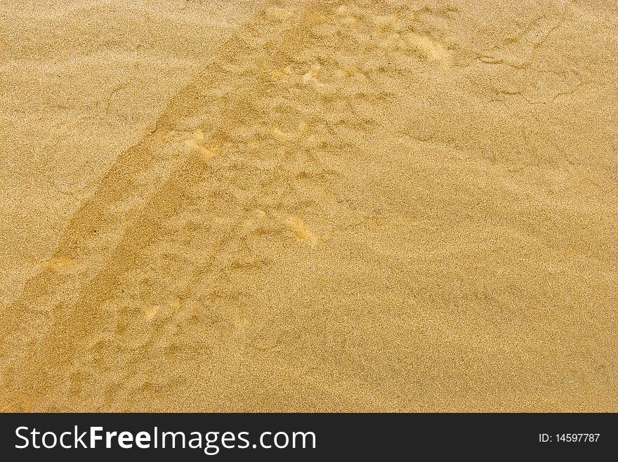 A close-up of the impression left by a vehicle driving over sand
car tracks in the sand. A close-up of the impression left by a vehicle driving over sand
car tracks in the sand