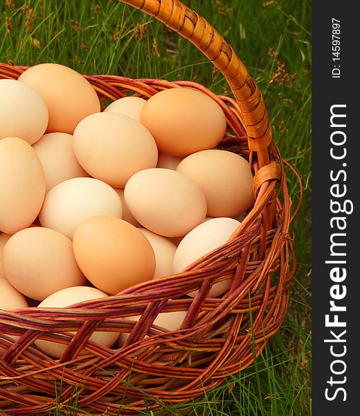 Eggs in the basket on the green grass