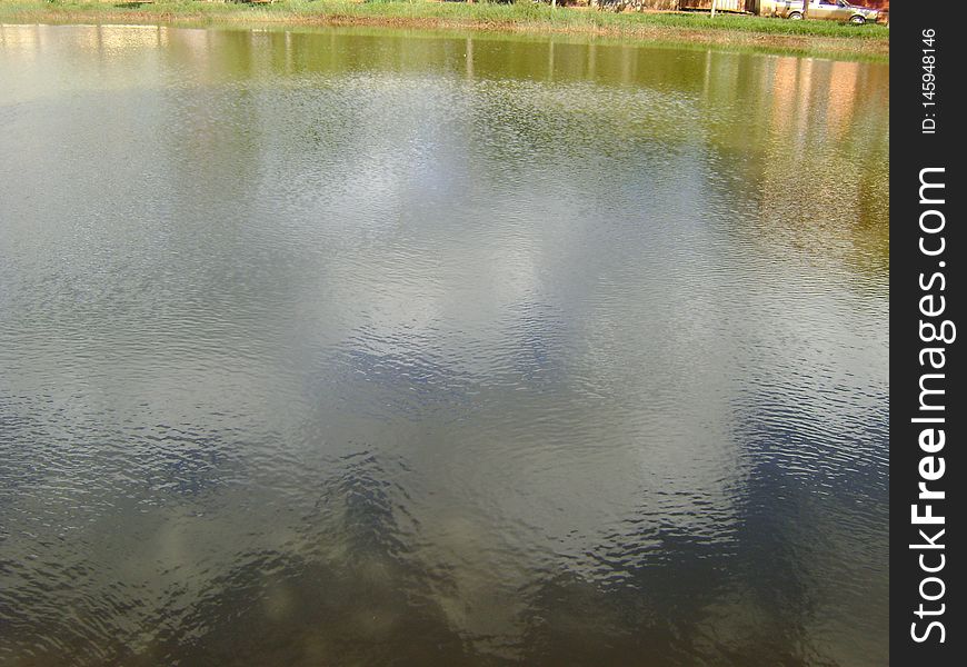 Beautiful pond landscape, trees on the sides and shadows of clouds