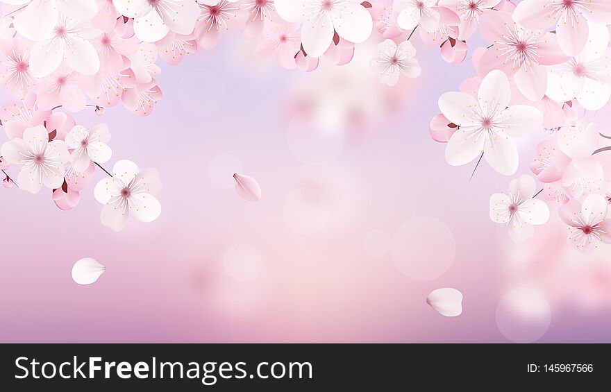 Beautiful delicate background with blossoming light pink sakura flowers with place for text. Delicate floral design. Realistic  vector illustration.