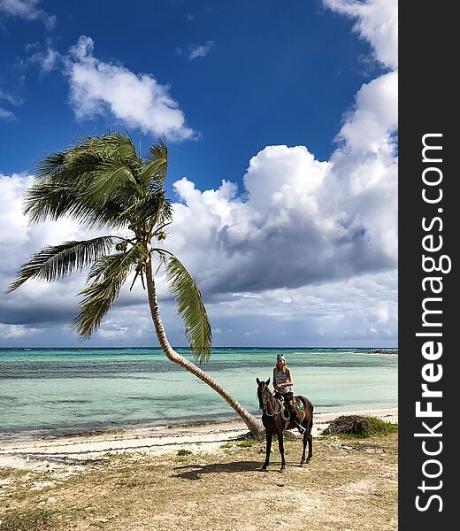 Cowboy girl on a horse under a palm tree on a tropical island. Horse riding tourists. Cowboy girl on a horse under a palm tree on a tropical island. Horse riding tourists.